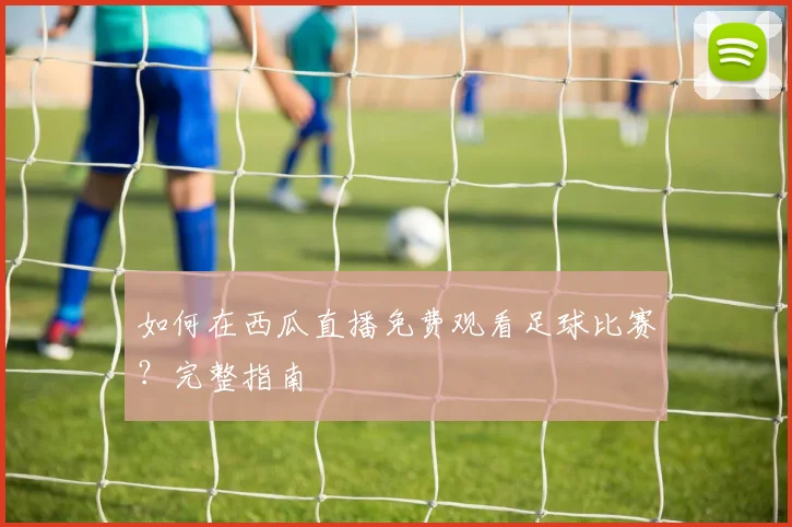 如何在西瓜直播免费观看足球比赛？完整指南