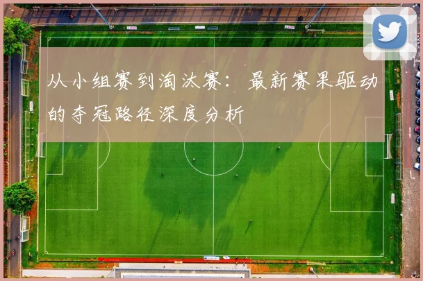 从小组赛到淘汰赛：最新赛果驱动的夺冠路径深度分析