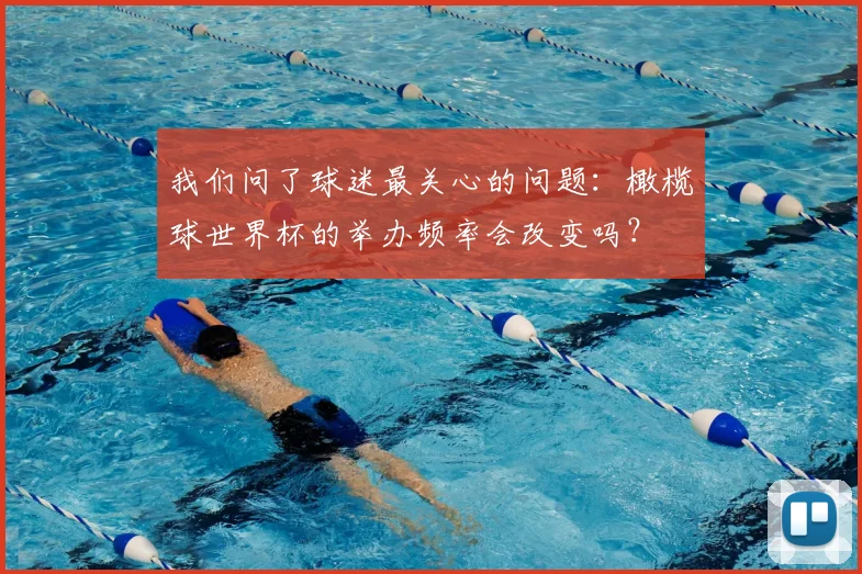 我们问了球迷最关心的问题:橄榄球世界杯的举办频率会改变吗?