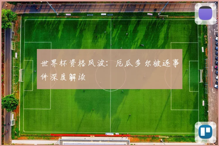 世界杯资格风波:厄瓜多尔被逐事件深度解读