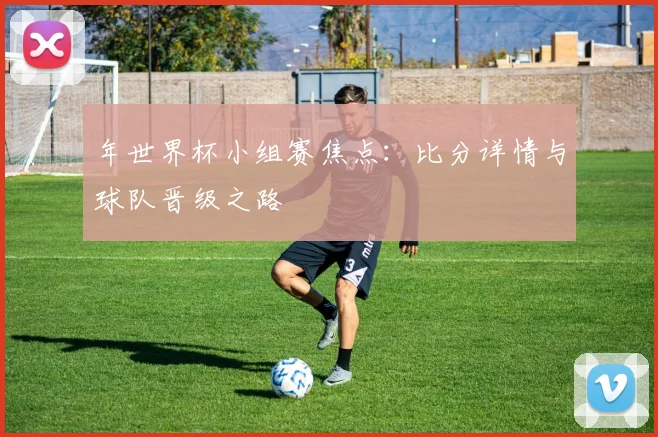 年世界杯小组赛焦点：比分详情与球队晋级之路