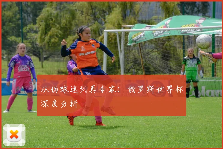 从伪球迷到真专家：俄罗斯世界杯深度分析