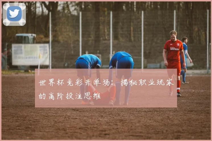 世界杯竞彩开单场：揭秘职业玩家的高阶投注思维