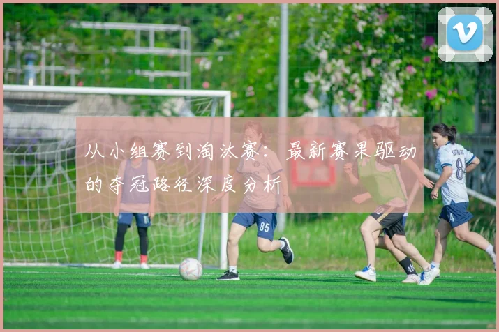 从小组赛到淘汰赛：最新赛果驱动的夺冠路径深度分析