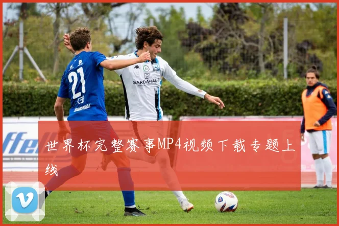 世界杯完整赛事MP4视频下载专题上线