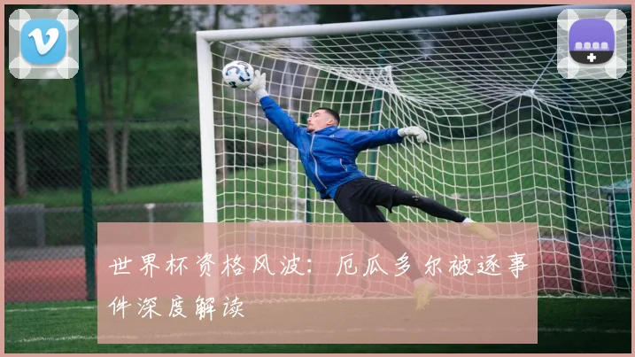 世界杯资格风波：厄瓜多尔被逐事件深度解读